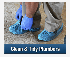 Tidy Plumbers Harbord